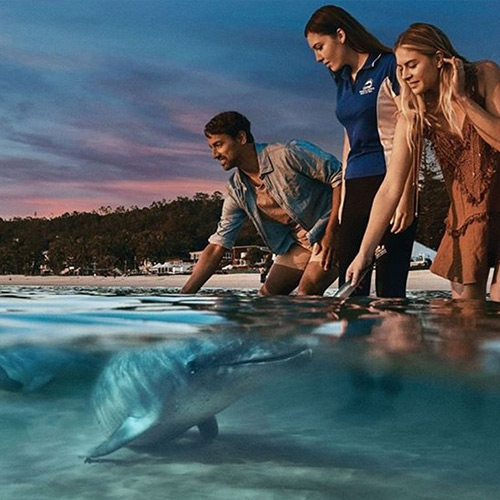 Zuper Deal Australia Tangalooma + Movie... ZUPER DEAL AUSTRALIA TANGALOOMA + MOVIE WORLD & CLEARVIEW DINNER CRUISE